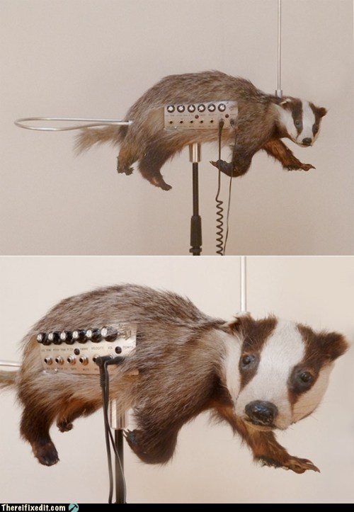There I Fixed It: Taxidermied-Badger Theremin 