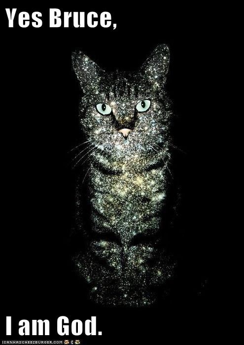 LOLcats: Cat, Almighty