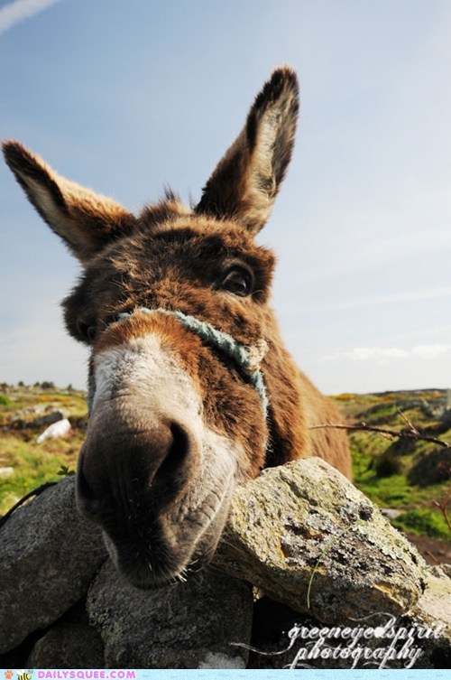 Wanna Kiss?