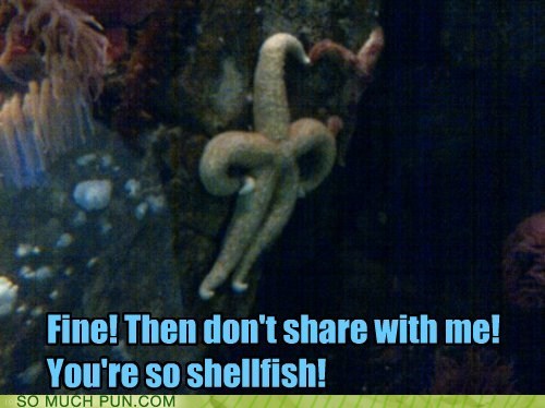 Starfish is No Stranger to Being Oysteracized...
