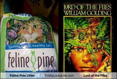 Feline Pine Litter Totally Looks Like Lord of the Flies