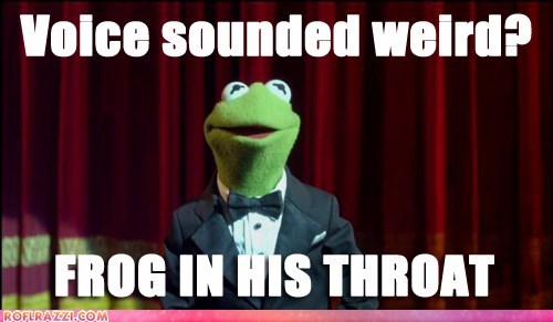 Anyone Else Weirded Out by Kermit's Voice?
