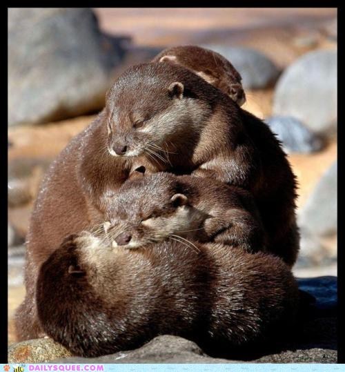 Daily Squee: Pile o' Otters!