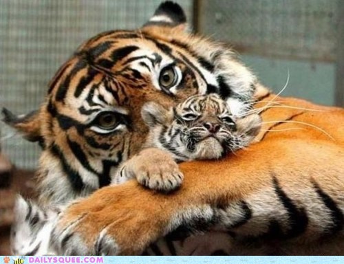 Daily Squee: See My Baby?