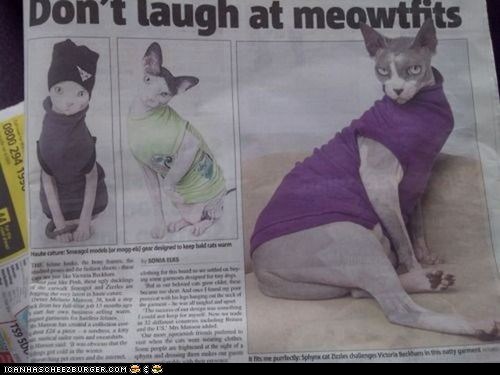 Meowtfits Is Quite Possibly the Greatest Portmanteau of All Time