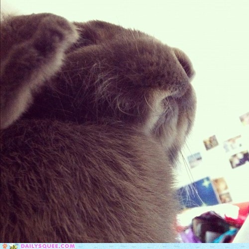 Grandmaster Bun