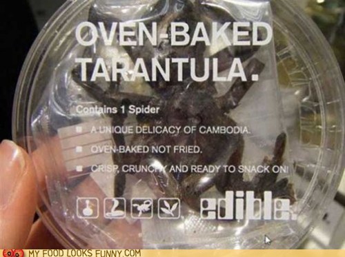Eight-Legged Healthy Snack
