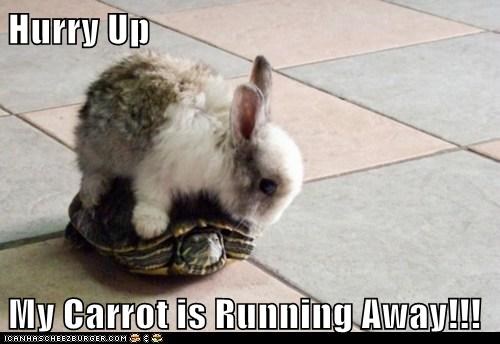 I Thought You Were Supposed to Win Races