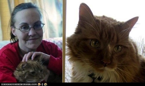 Kitteh Heroes: Pudding the Life-Saver