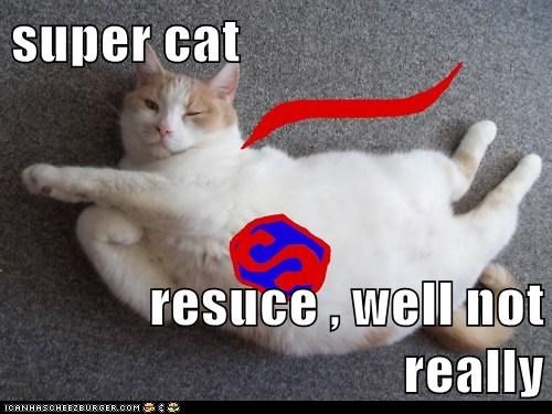 super cat   resuce , well not really
