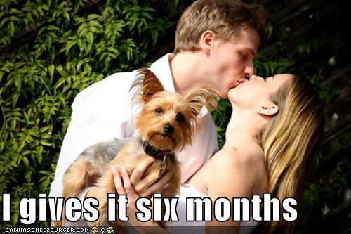 I gives it six months