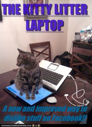 LOLcats: IN STORES NOW!