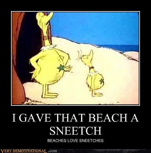 I GAVE THAT BEACH A SNEETCH