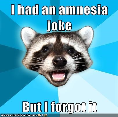 Lame Pun Coon: Déjà Vu