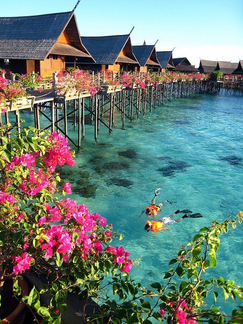 Snorkeling Near Tropical Bungalows