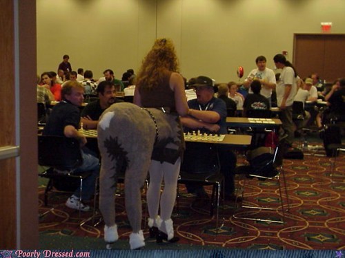 The Chess Tournament Specifically Said 'No Horses'!