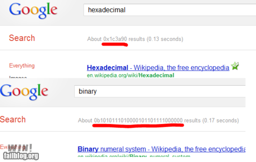Google Search WIN