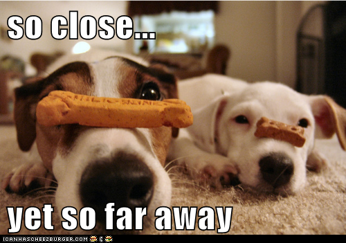 so close...  yet so far away