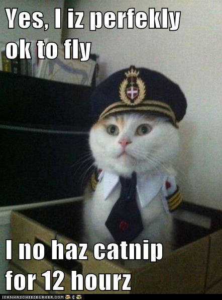 Yes, I iz perfekly   ok to fly  I no haz catnip      for 12 hourz