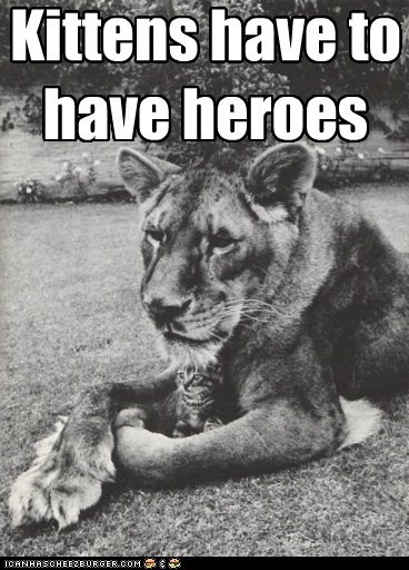 Kittens have to  have heroes