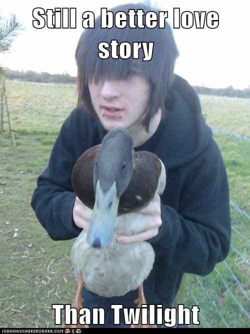 Twilight Is so Fowl