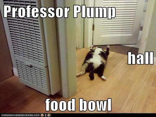 Professor Plump hall food bowl