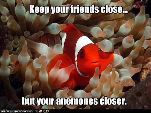 Words of Wisdom