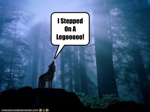 Even Animals in the Wild Know How Painful That Is