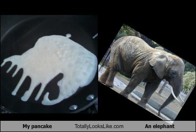 My pancake Totally Looks Like an Elephant