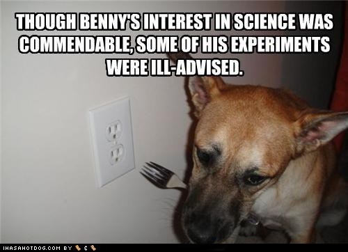 I Has a Hotdog: He Has No Idea What He's Doing