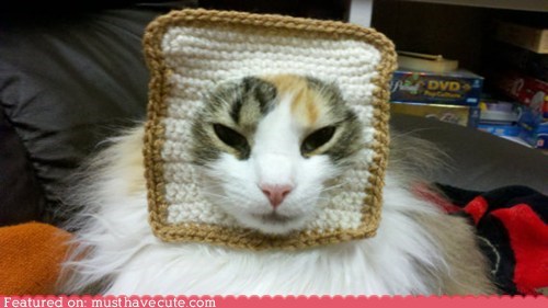 Sustainable Cat Breading