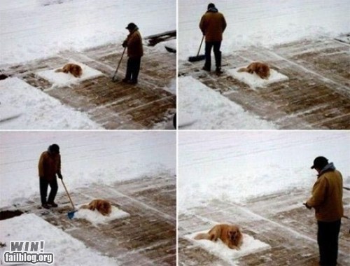 Shoveling Snow WIN