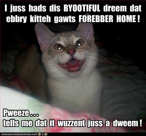 I  juss  hads  dis  BYOOTIFUL  dreem  dat  ebbry  kitteh  gawts  FOREBBER  HOME !