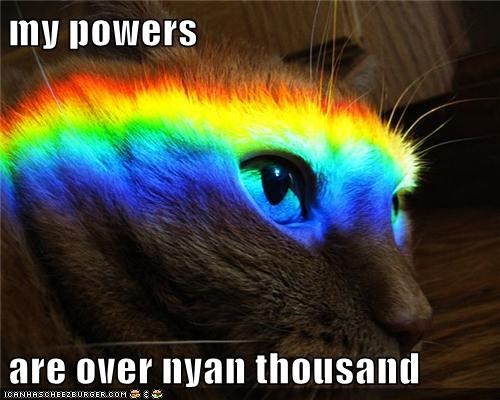 my powers  are over nyan thousand