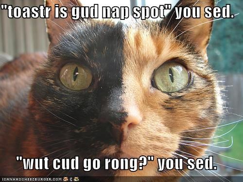 "toastr is gud nap spot" you sed.  "wut cud go rong?" you sed.