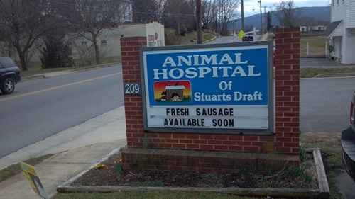 Animal Hospital FAIL