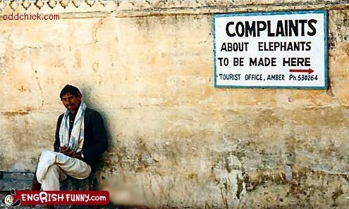 Complaints About Rhinos Should Be Made Elsewhere