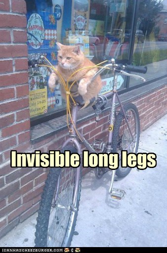 Invisible