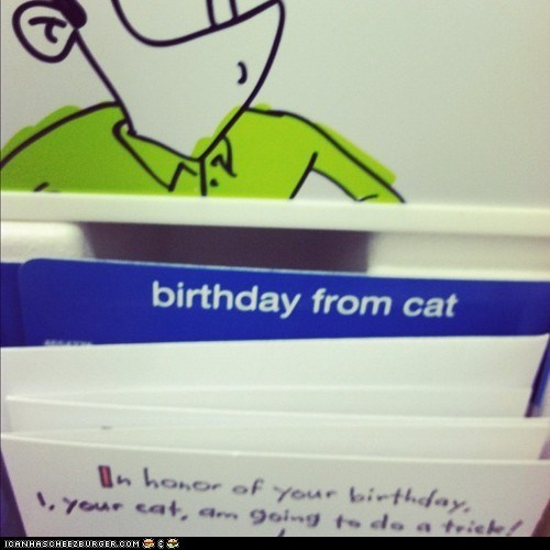 The Happiest Birthday Ever