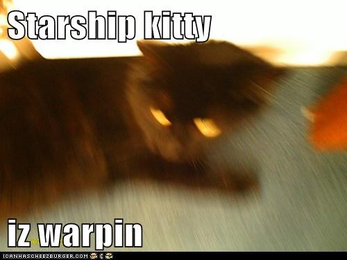 Starship kitty   iz warpin