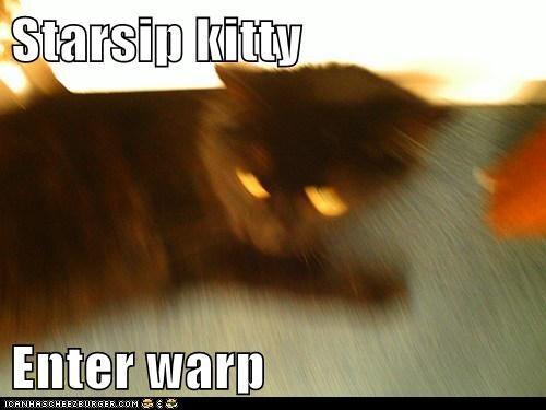 Starsip kitty   Enter warp