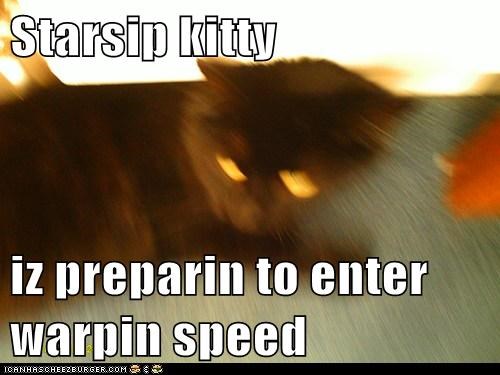 Starsip kitty   iz preparin to enter warpin speed