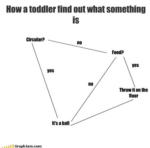 How a toddler find out what something is