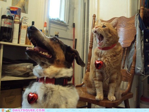 Reader Squees: Singing Telegram