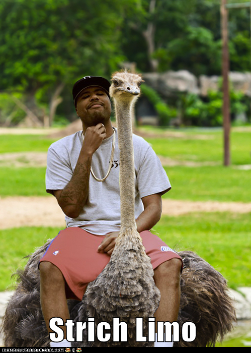 Animal Capshunz: Traveling in Style