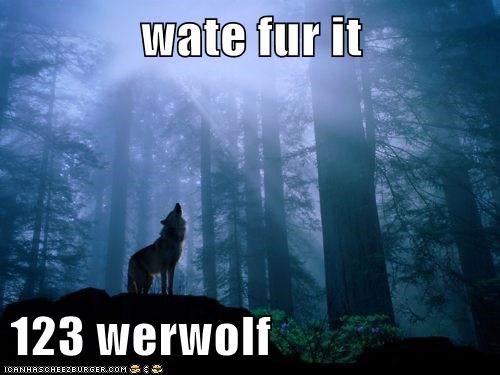 wate fur it  123 werwolf
