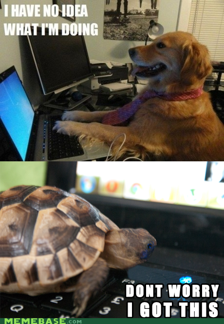 Techie Tortoise Has Got You Covered