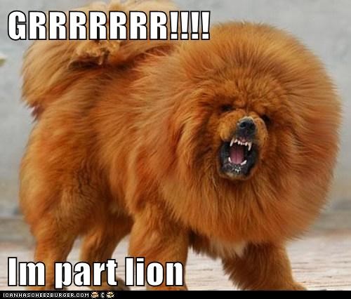 GRRRRRRR!!!!  Im part lion