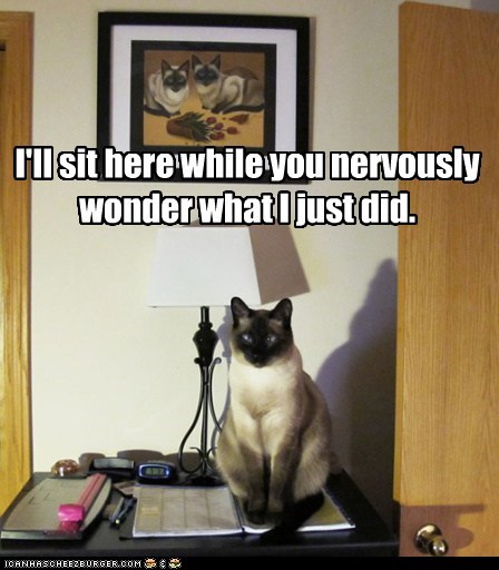 Feline Psy Ops.