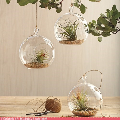 Glass Garden Globes